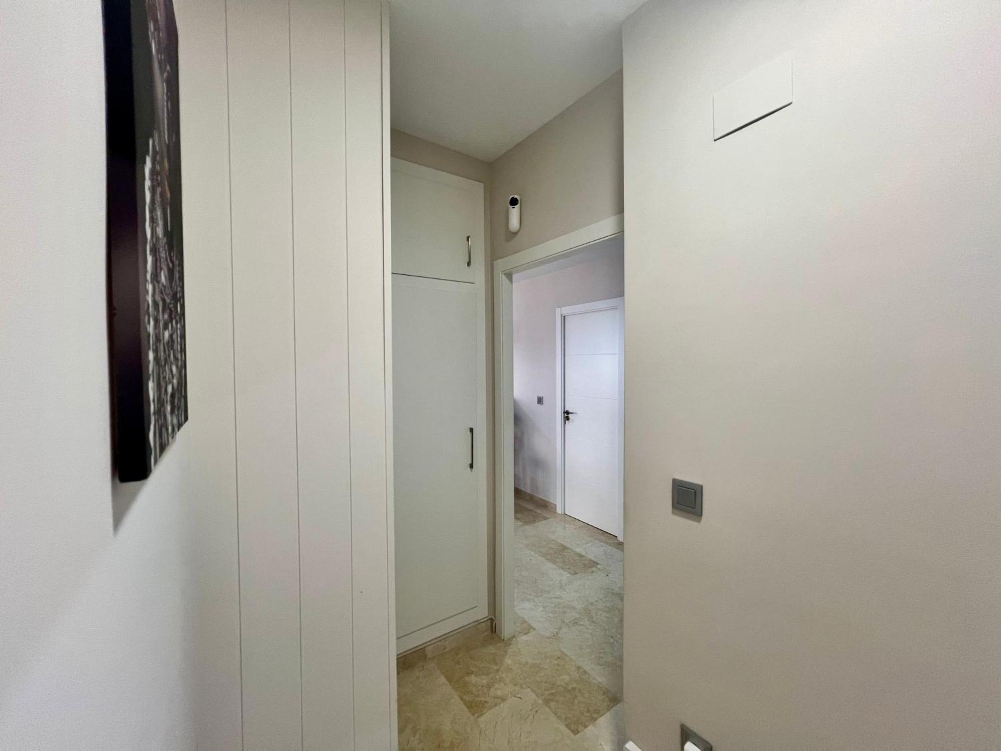 Noruega 3 Apartman Torrevieja Kültér fotó